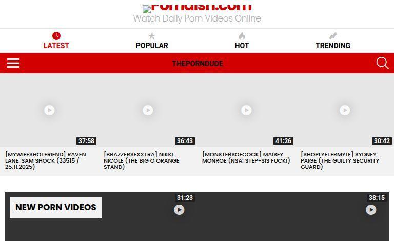 PornDish.com Review – Is This Free Porn Tube Worth Your Time?